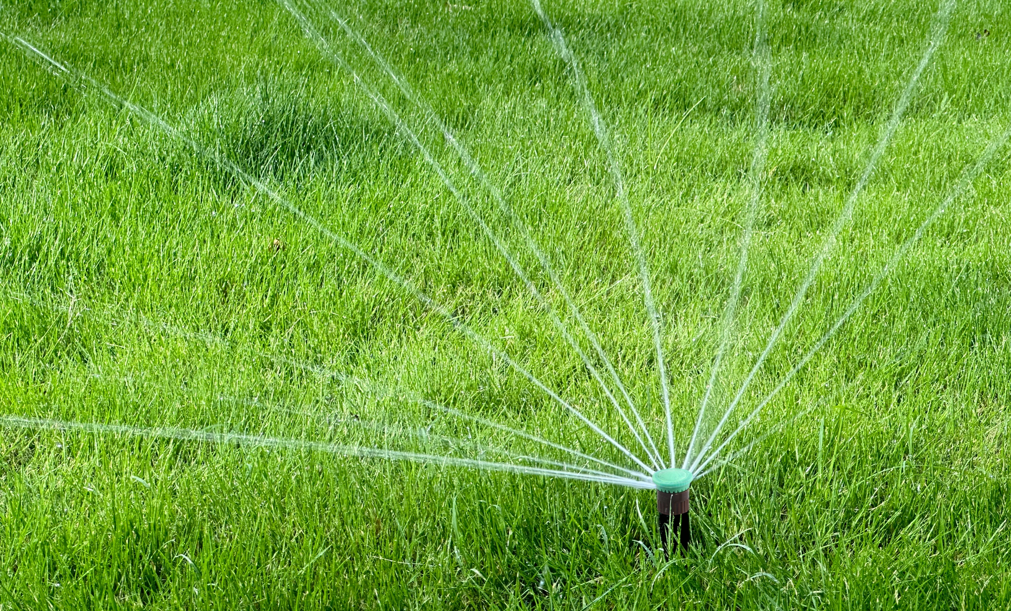 Water smarter in every backyard